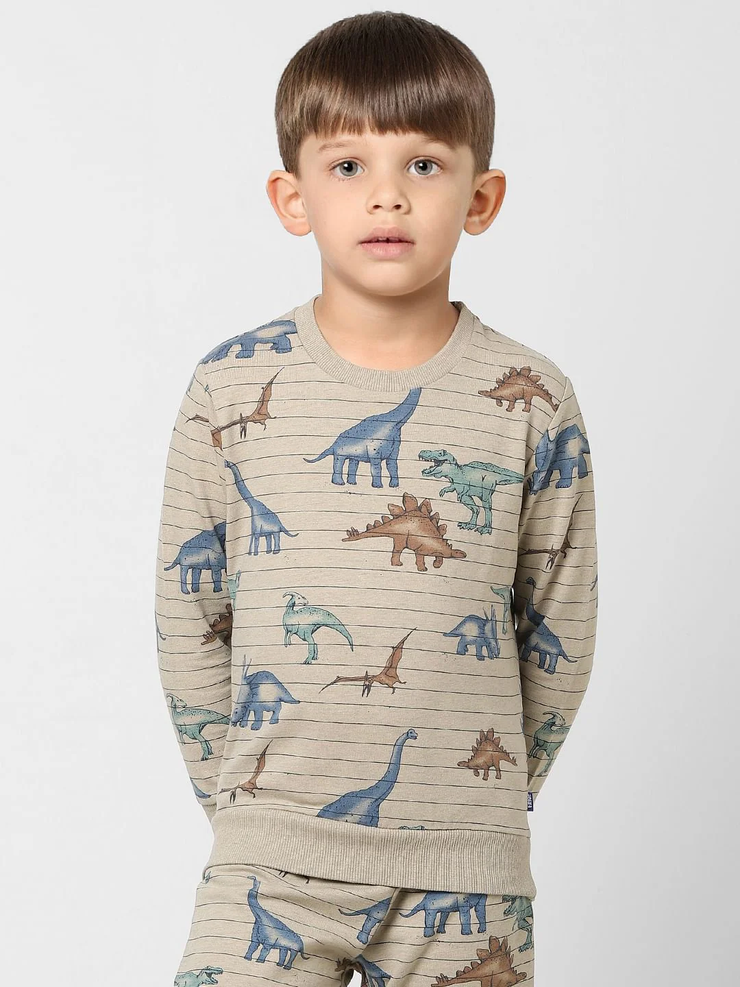 Boys Grey Striped Dinosaur Print Sweatshirt - Image 2