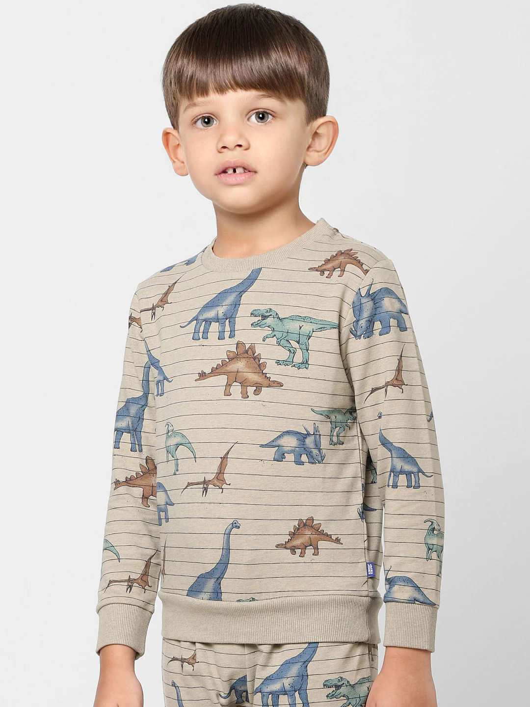 Boys Grey Striped Dinosaur Print Sweatshirt - Image 3