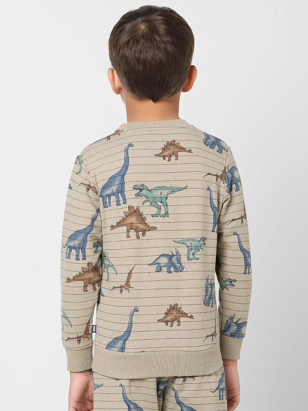 Boys Grey Striped Dinosaur Print Sweatshirt - Image 4