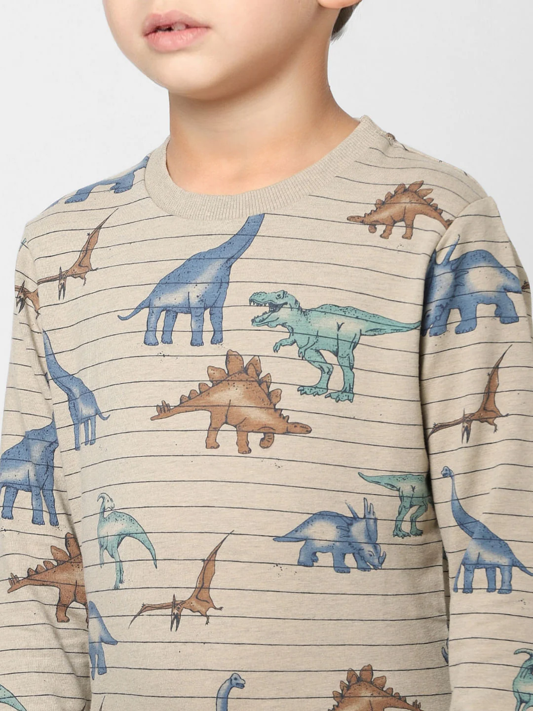 Boys Grey Striped Dinosaur Print Sweatshirt - Image 5
