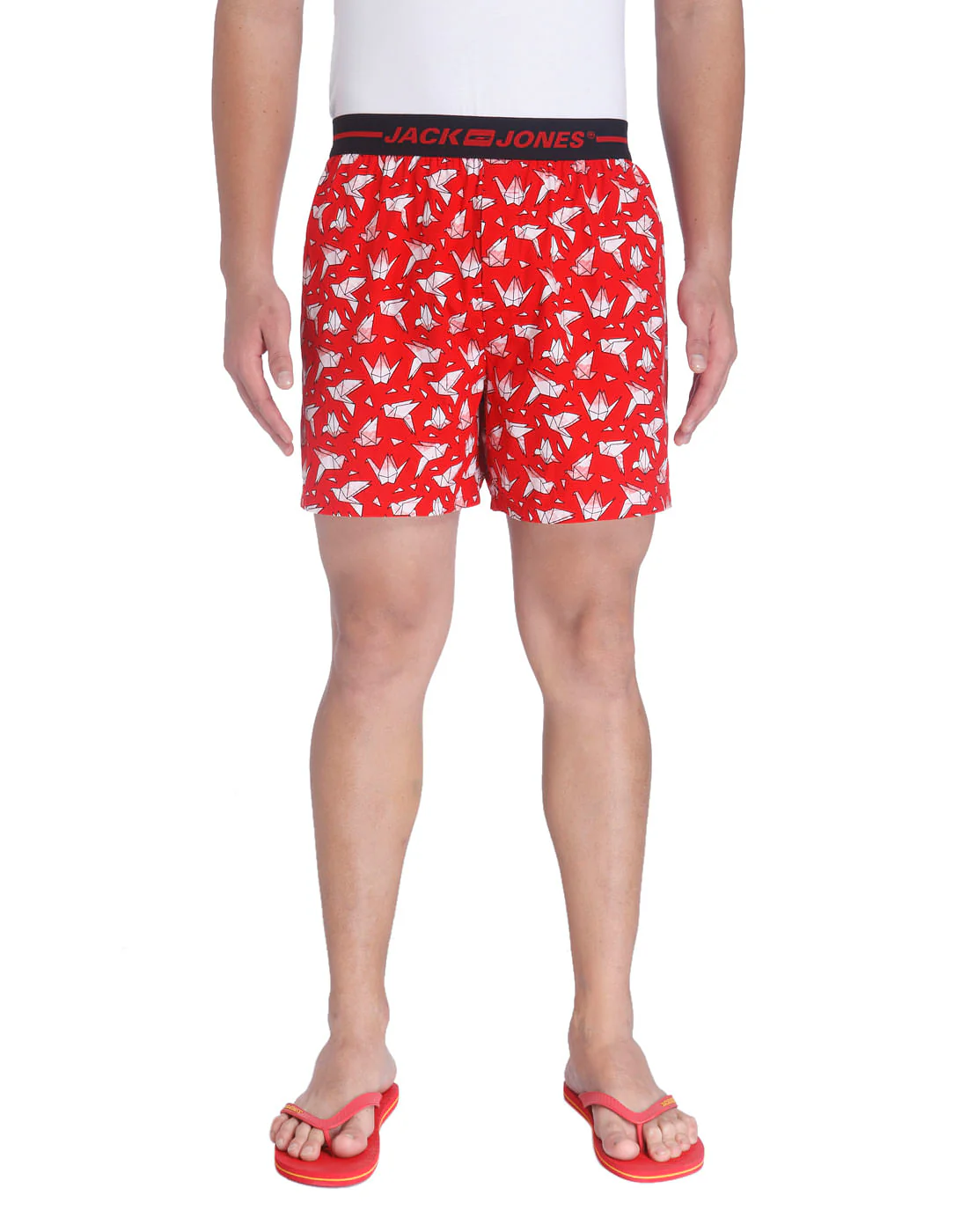 Boxer