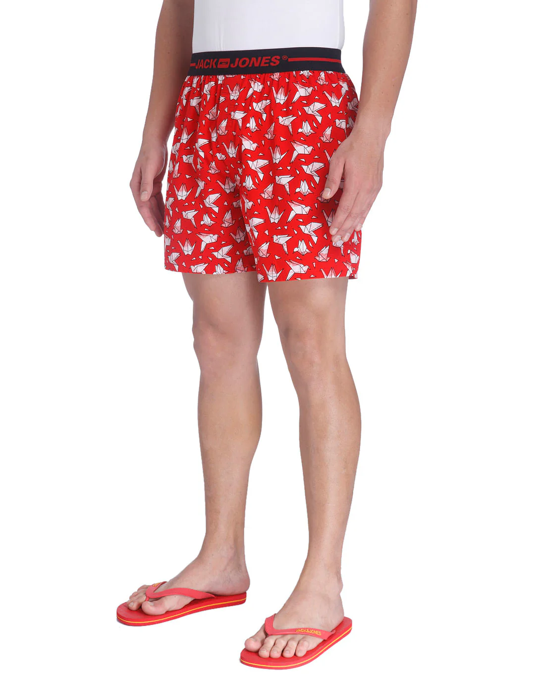 Boxer - Image 2