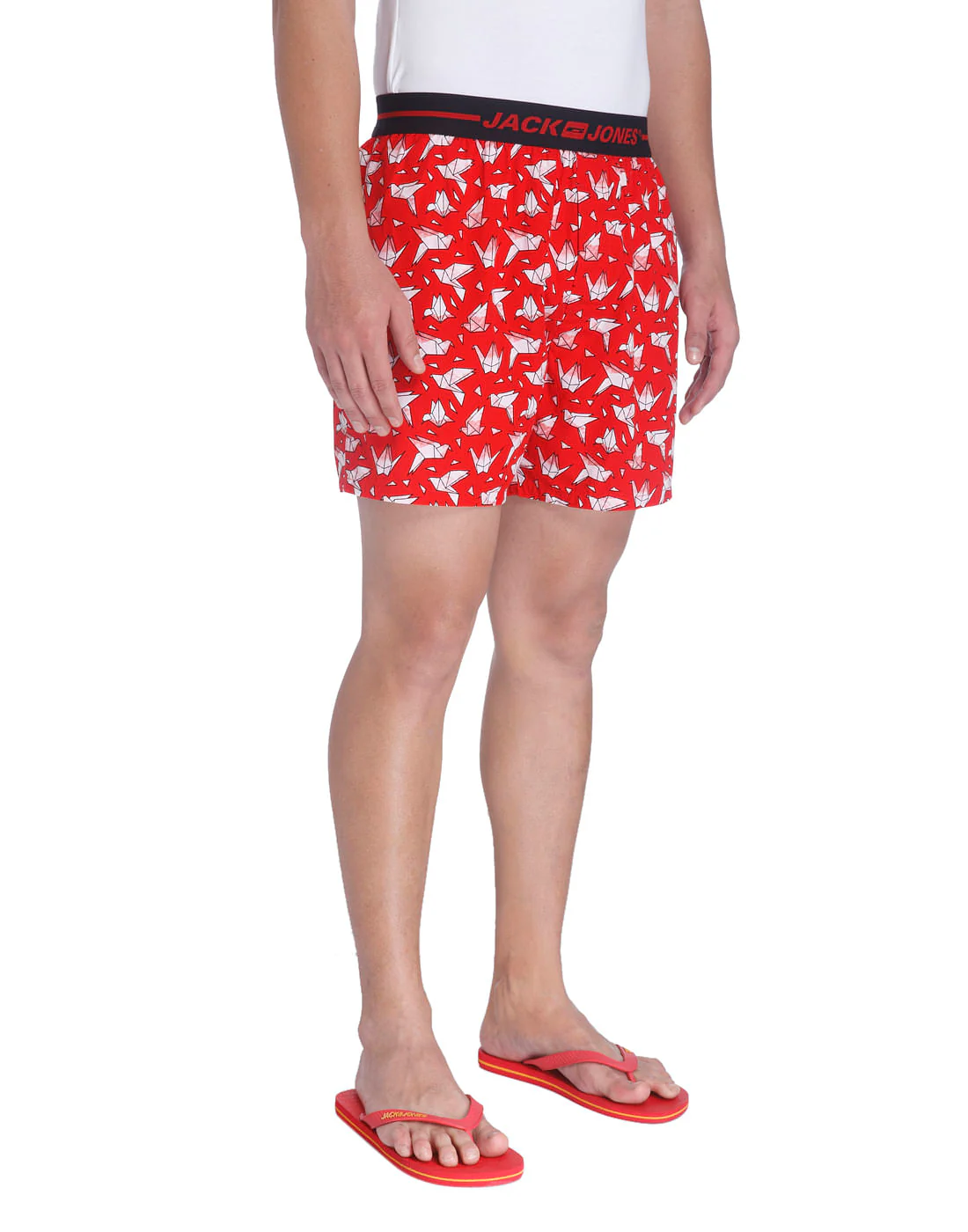 Boxer - Image 3