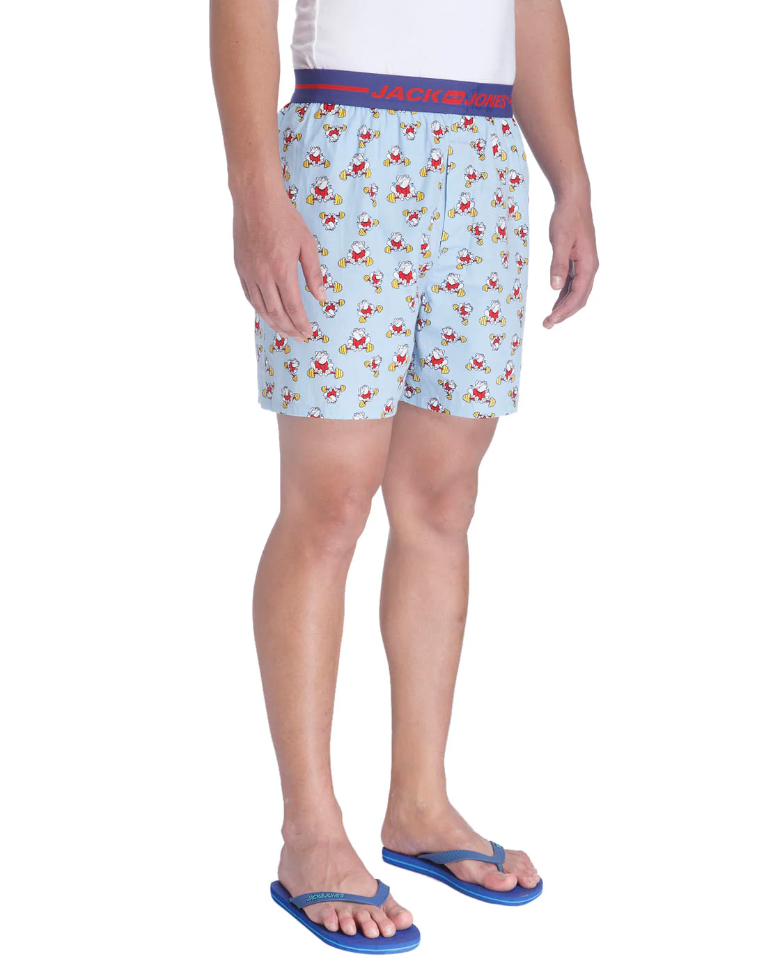 Boxer - Image 3