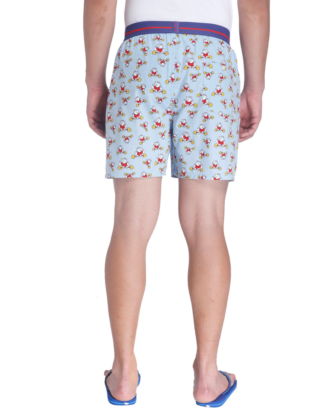 Boxer - Image 4