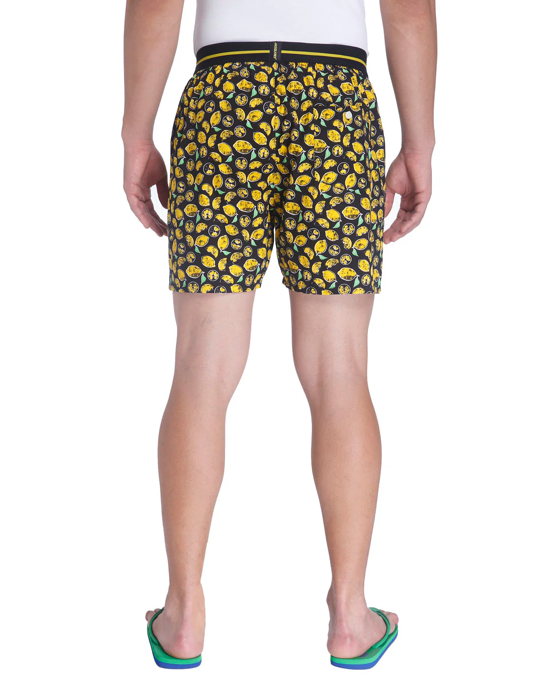 Boxer - Image 4