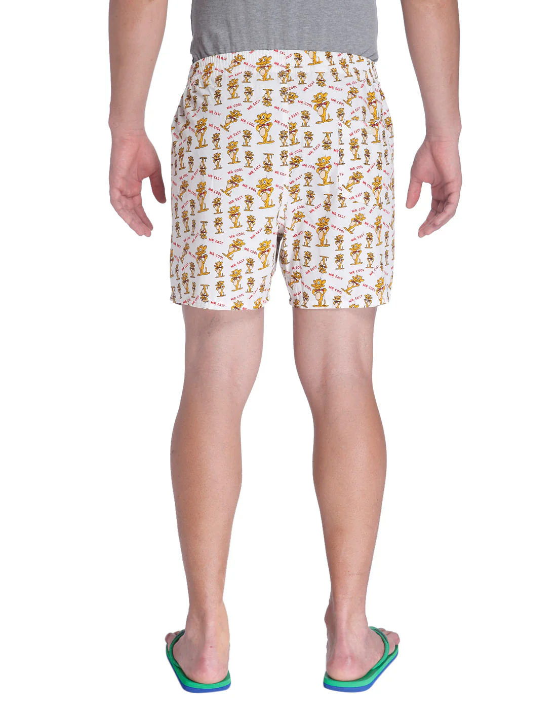 Boxer - Image 4