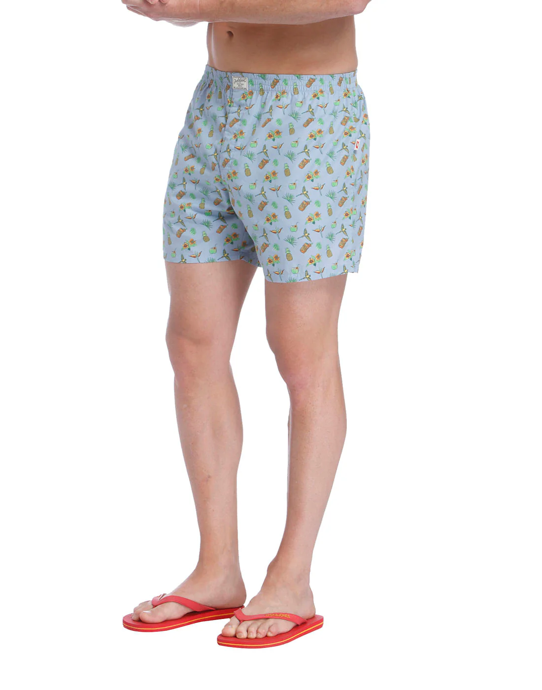 Boxer - Image 2