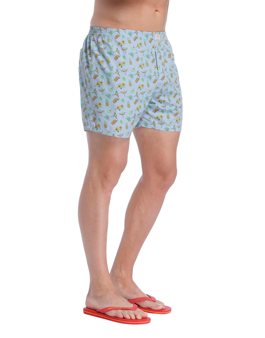 Boxer - Image 3