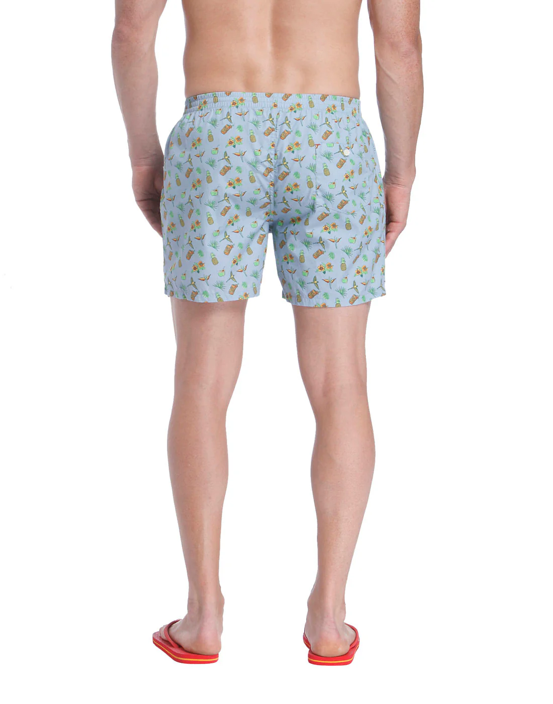 Boxer - Image 4