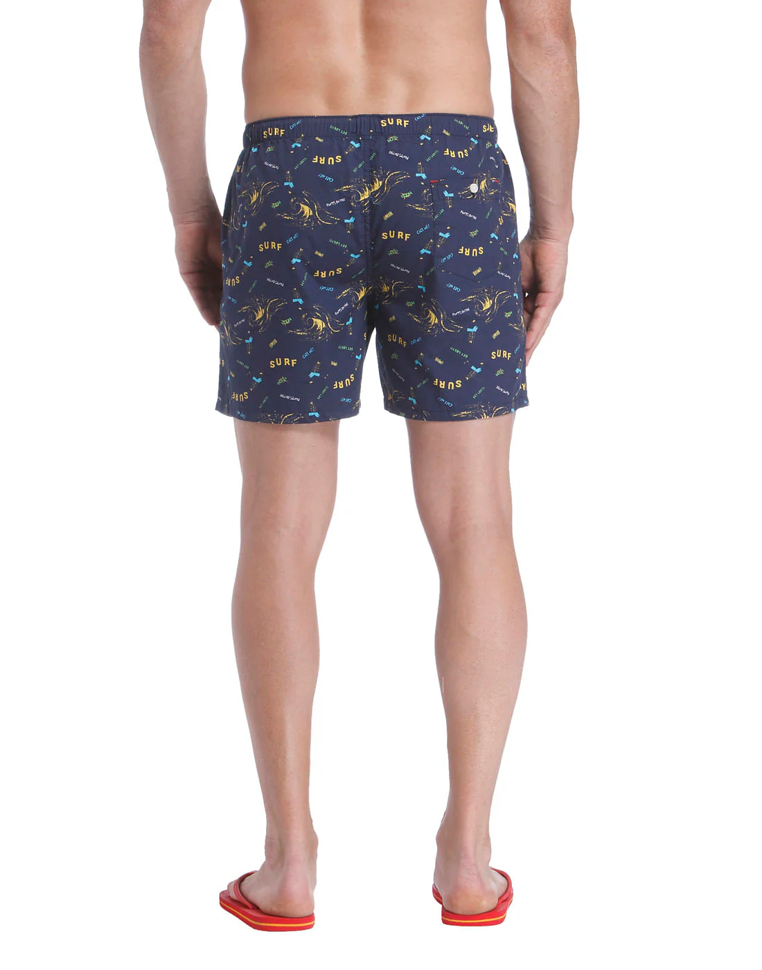Boxer - Image 4