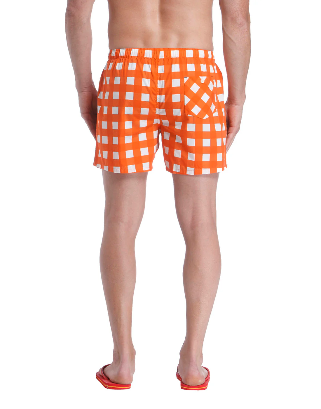 Boxer - Image 4