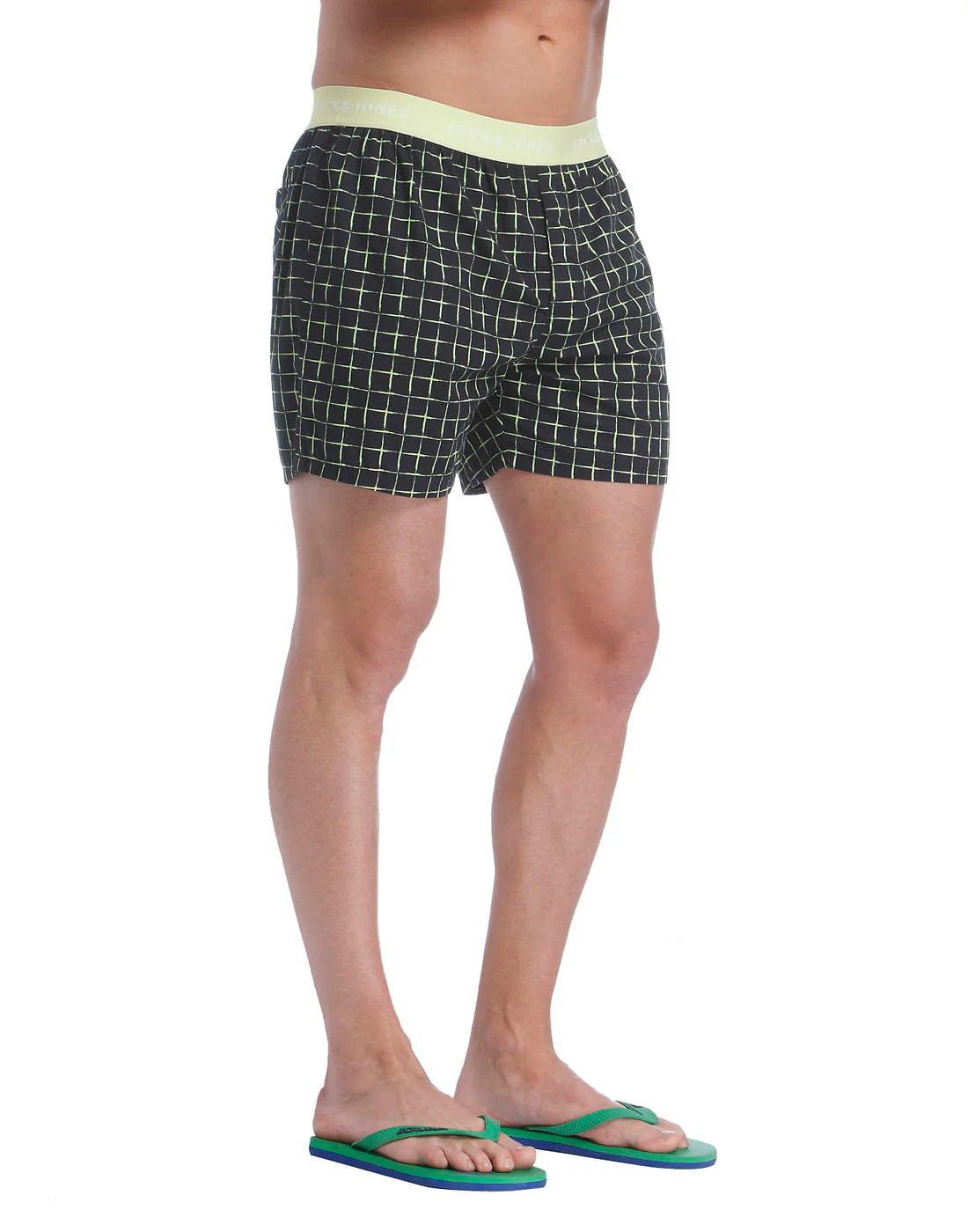 Boxer - Image 3
