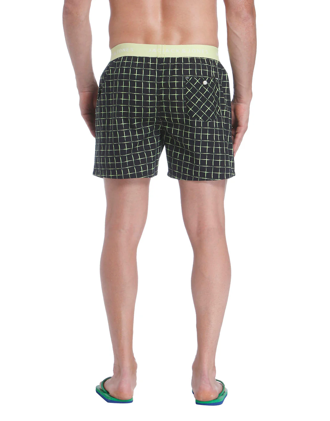 Boxer - Image 4