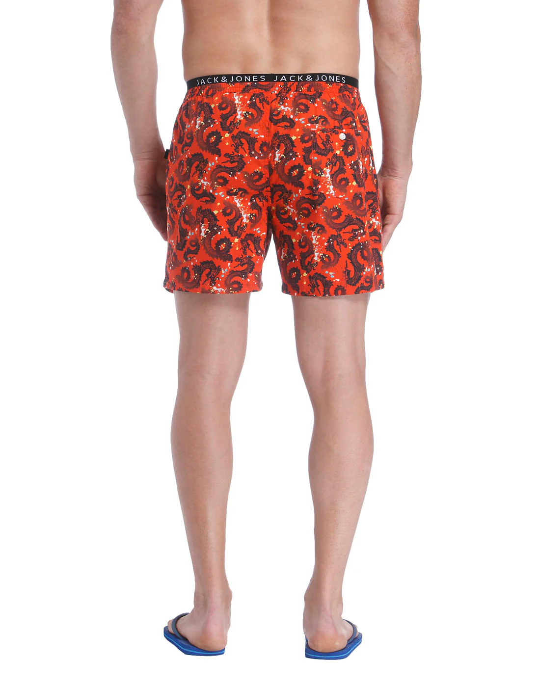 Boxer - Image 4