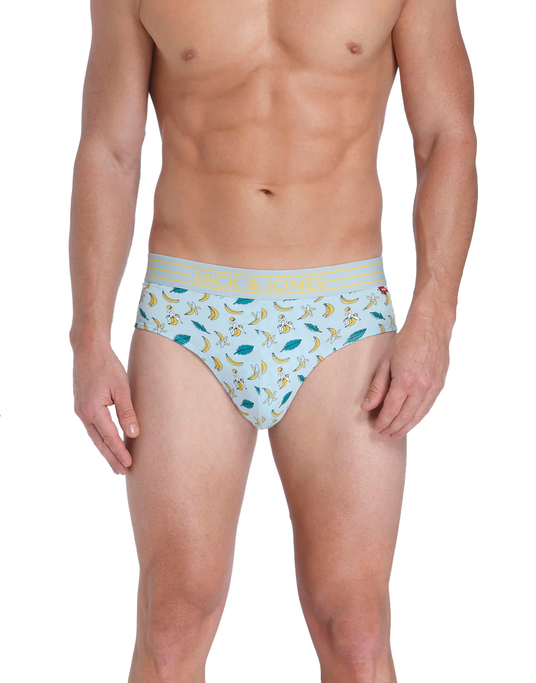 Brief