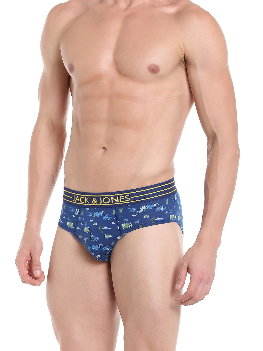 Brief - Image 2