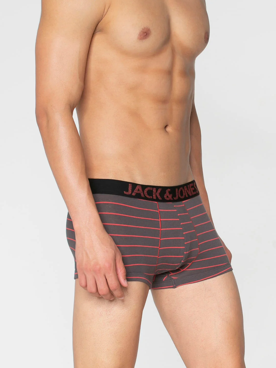 Grey Striped Brazilian Trunks - Image 3