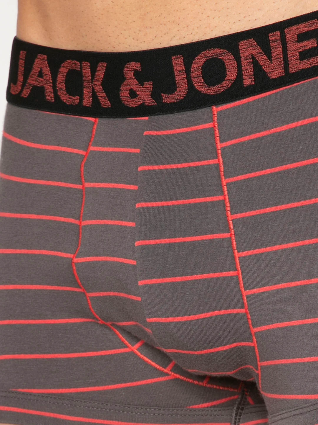 Grey Striped Brazilian Trunks - Image 5