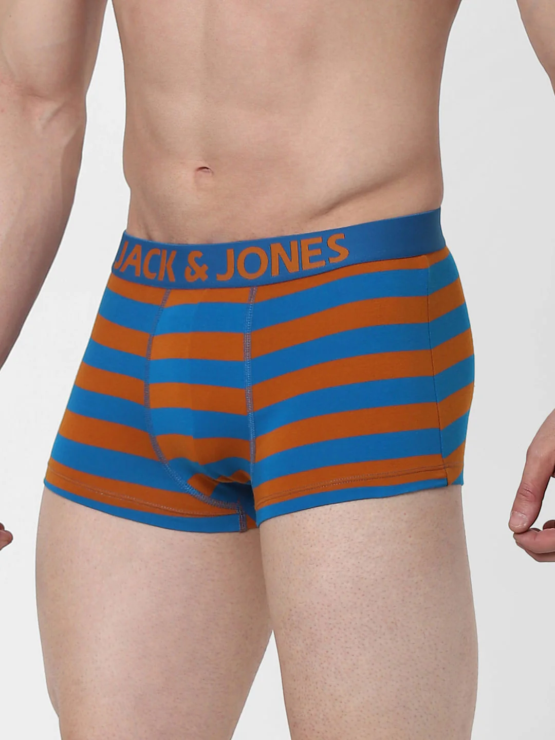 Blue Striped Brazilian Trunk - Image 2