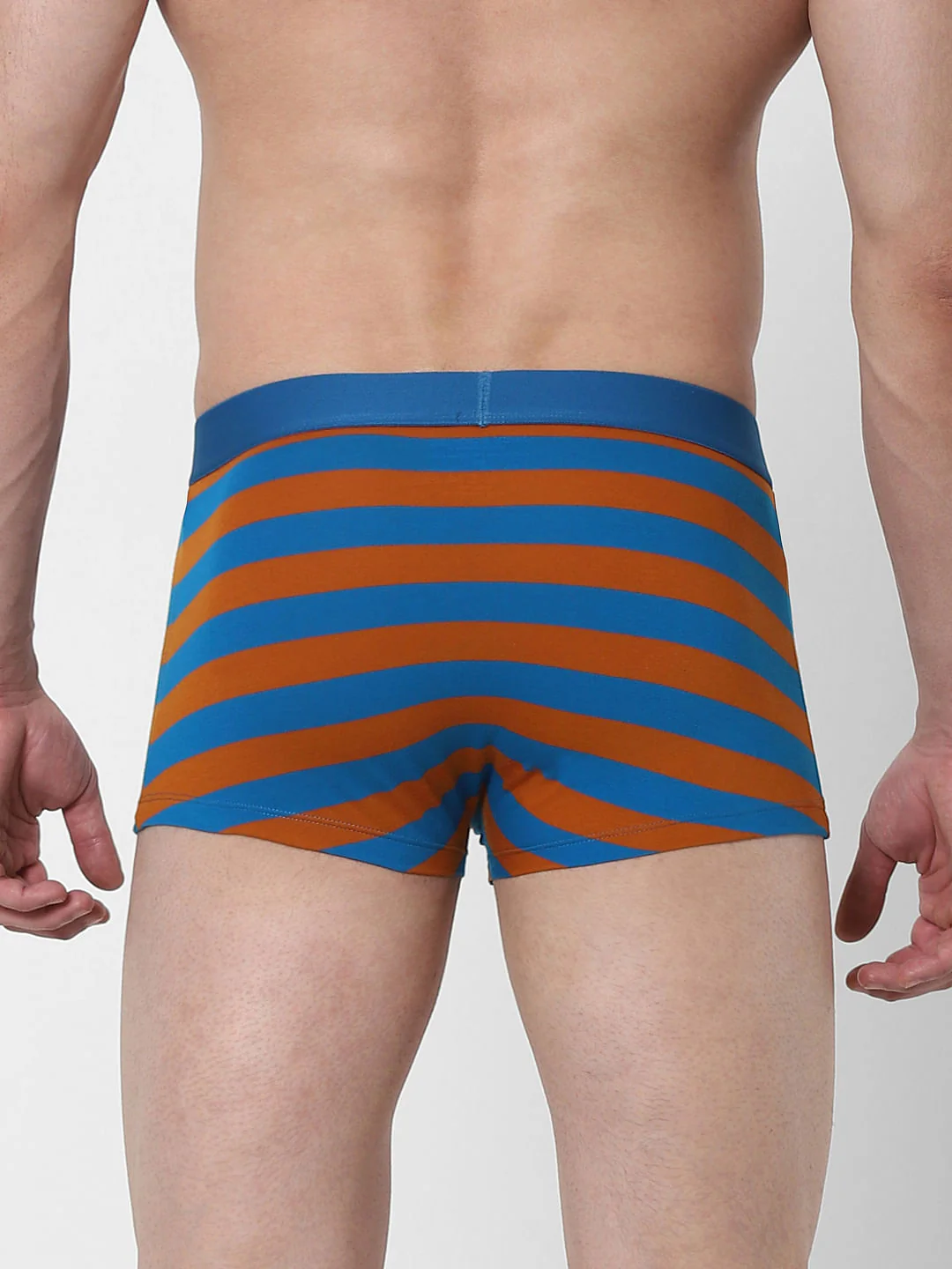 Blue Striped Brazilian Trunk - Image 3