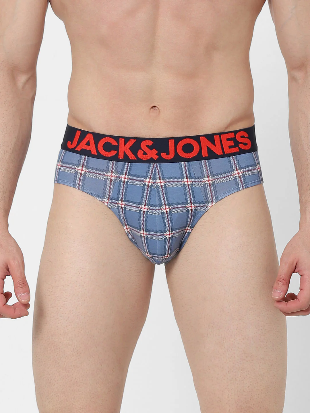 Blue Check Briefs