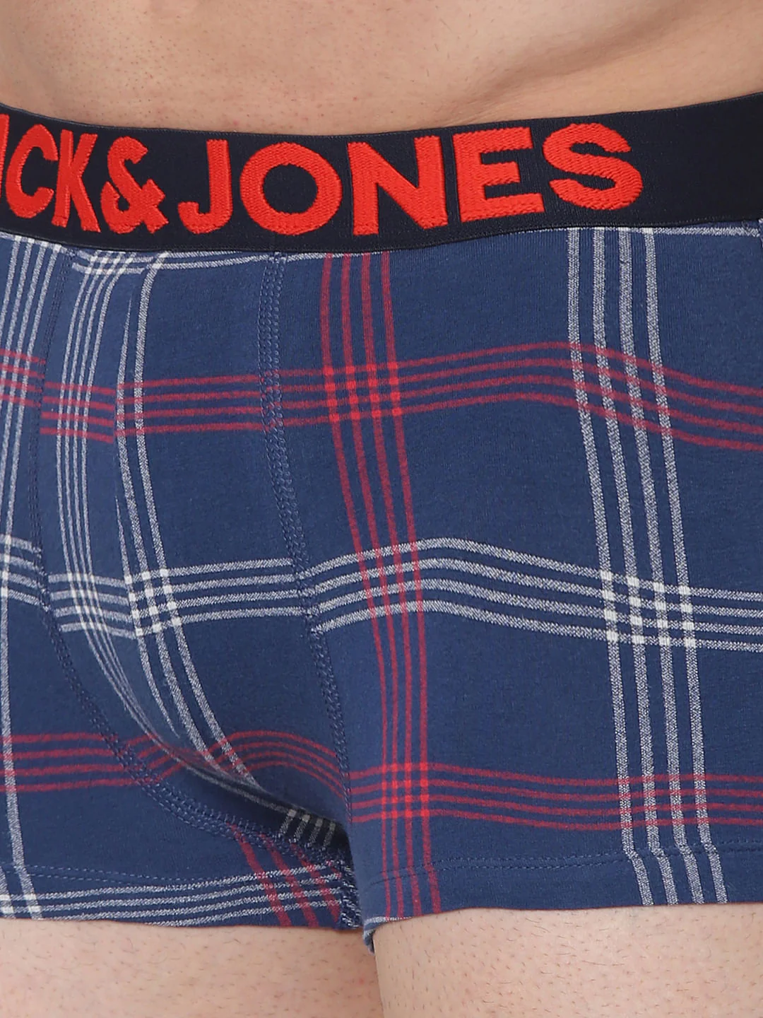 Blue Check Brazilian Trunks - Image 4