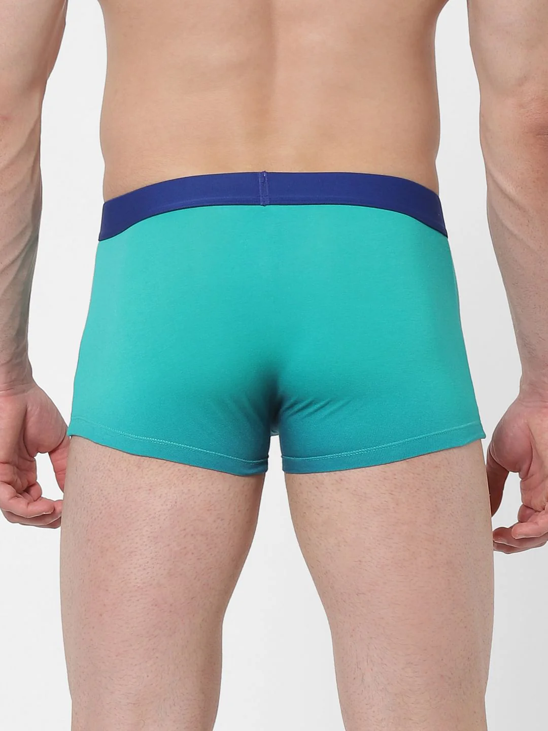 Blue Ombre Brazilian Trunks - Image 3