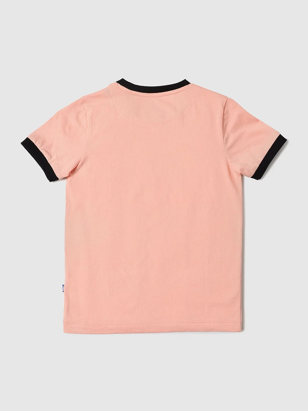 BOYS X ANIMAL PLANET Peach Graphic Print Crew Neck T-shirt - Image 2