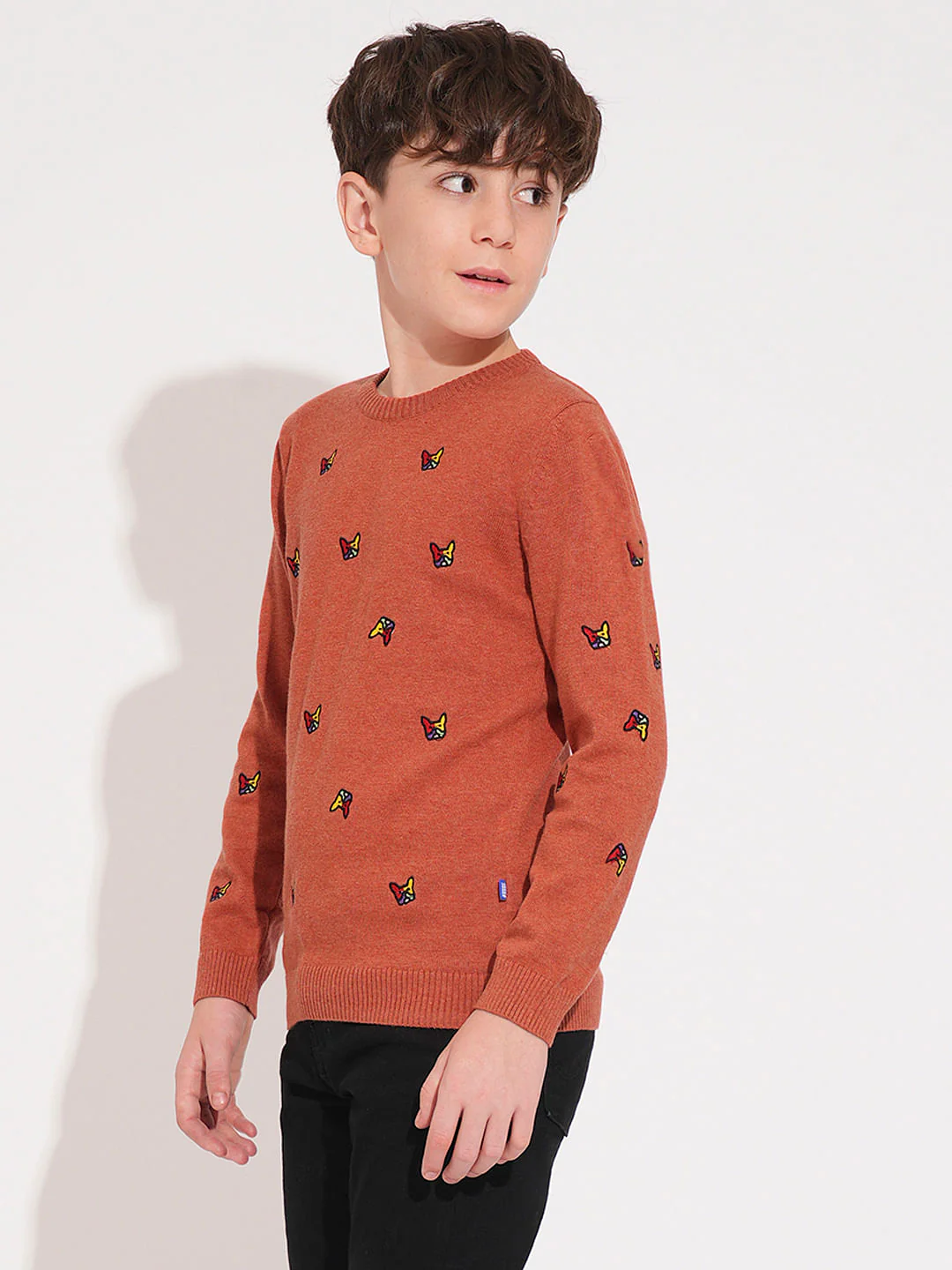 Boys Rust Frenchie Doggo Print Pullover - Image 3