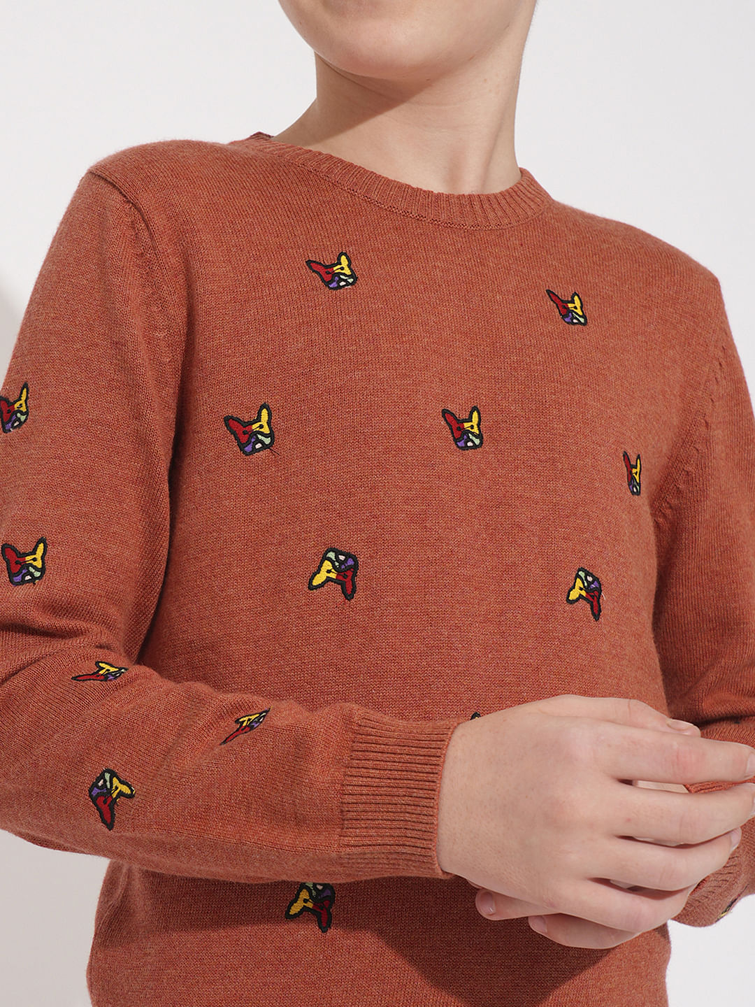 Boys Rust Frenchie Doggo Print Pullover - Image 6
