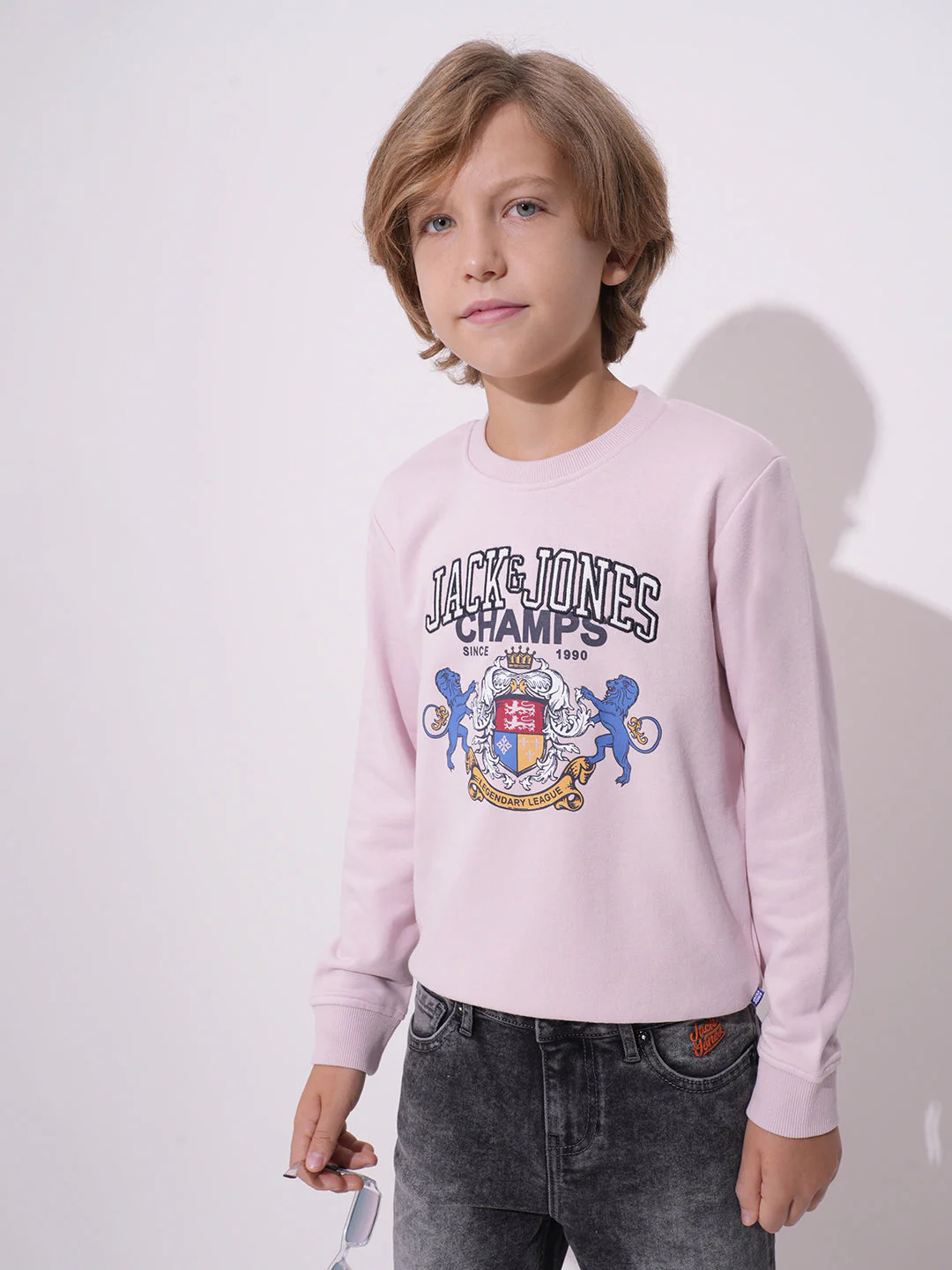 Boys Lilac Printed Sweatshirt