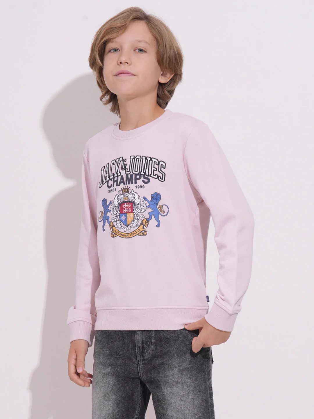 Boys Lilac Printed Sweatshirt - Image 3