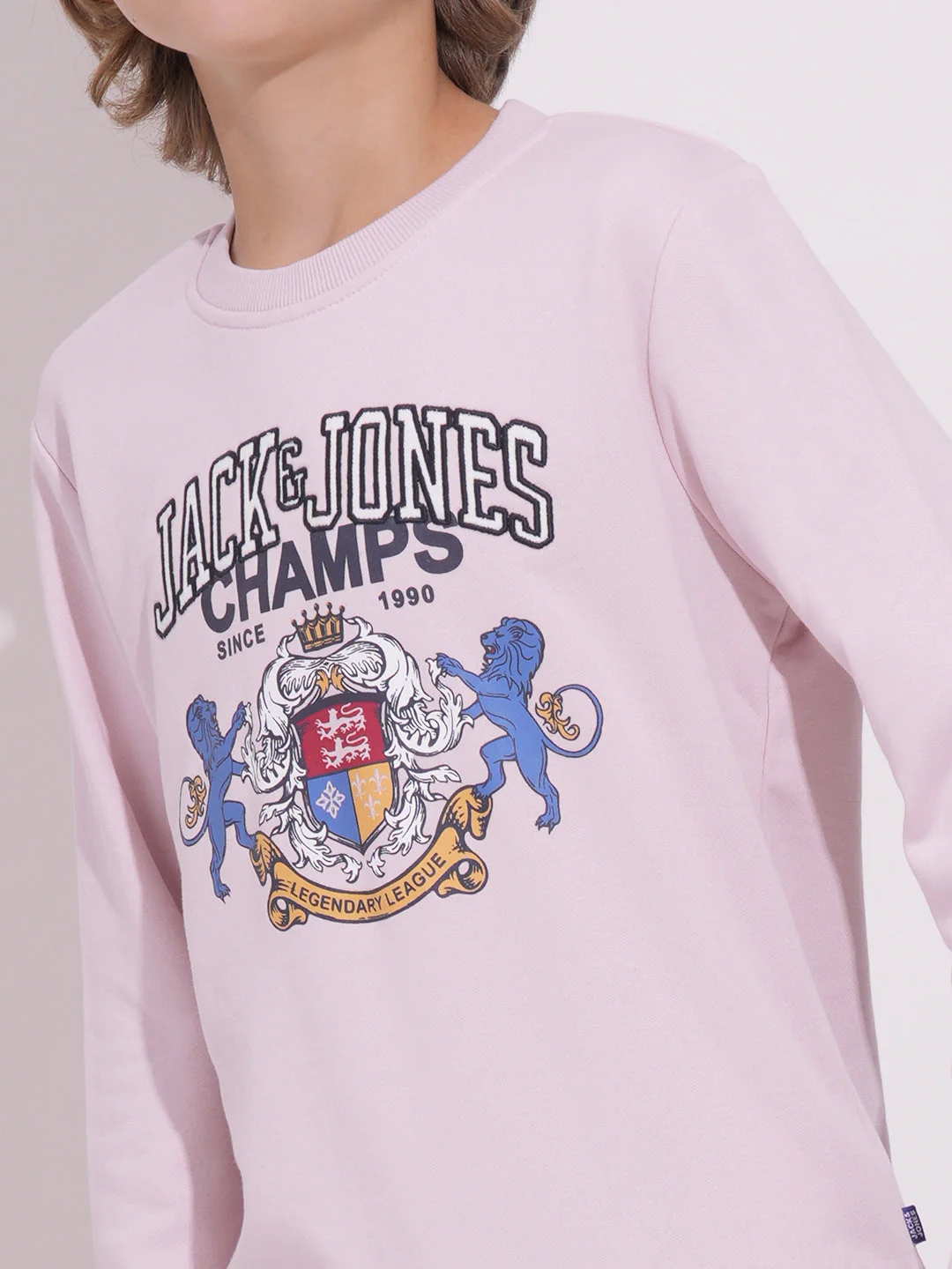 Boys Lilac Printed Sweatshirt - Image 6