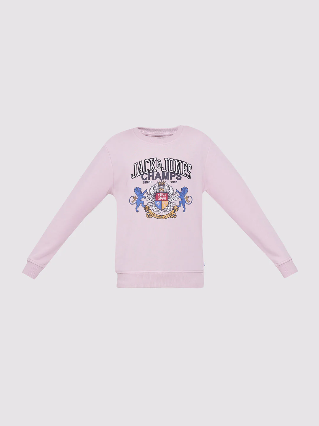 Boys Lilac Printed Sweatshirt - Image 7