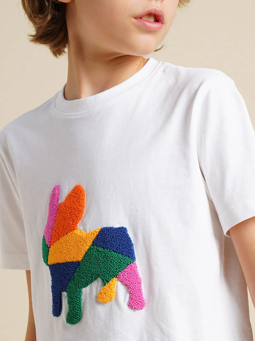 Boys White Embroidered Doggo Print T-shirt - Image 6