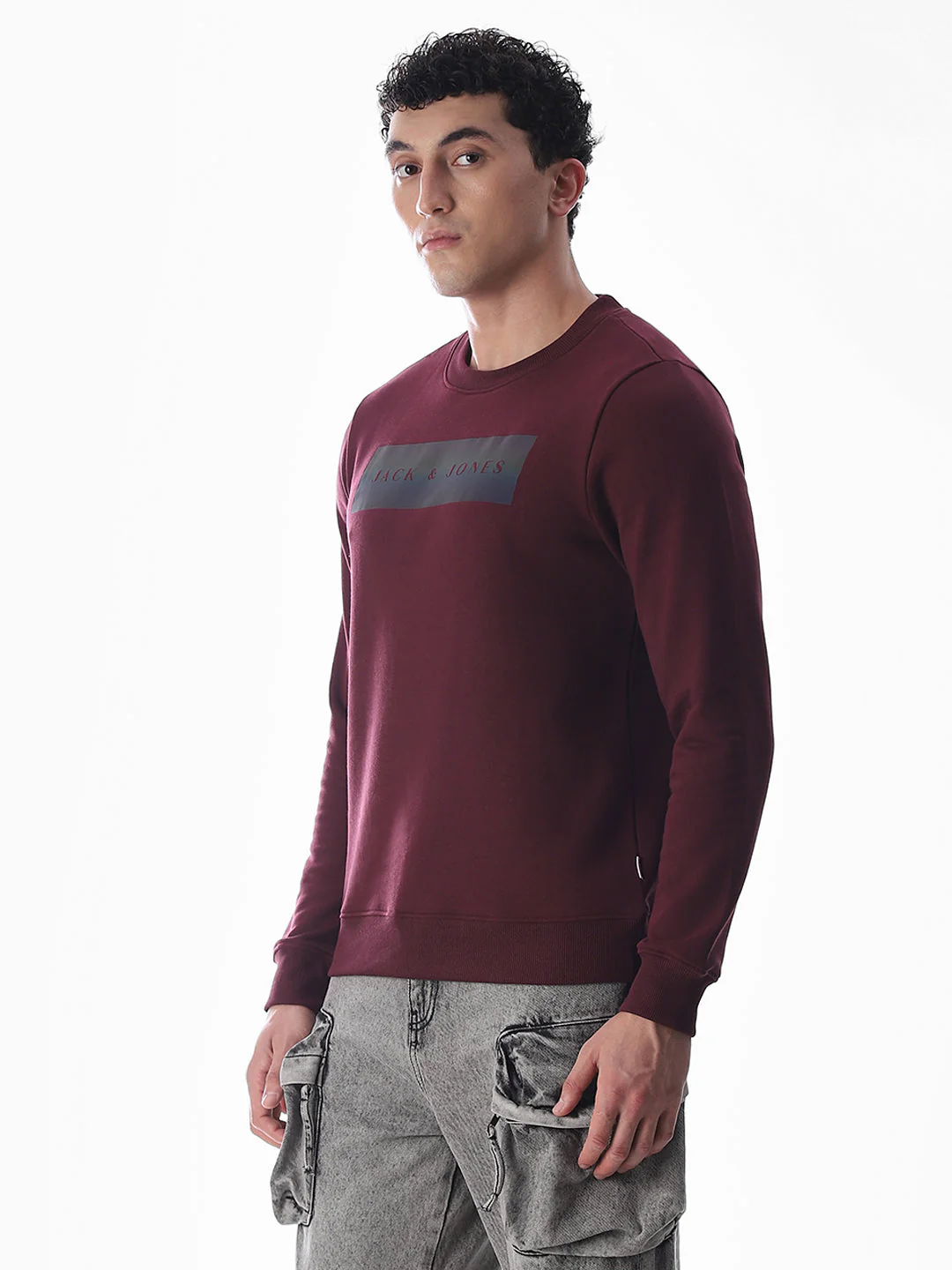Wine Printed Regular Fit Sweatshirt - Image 3