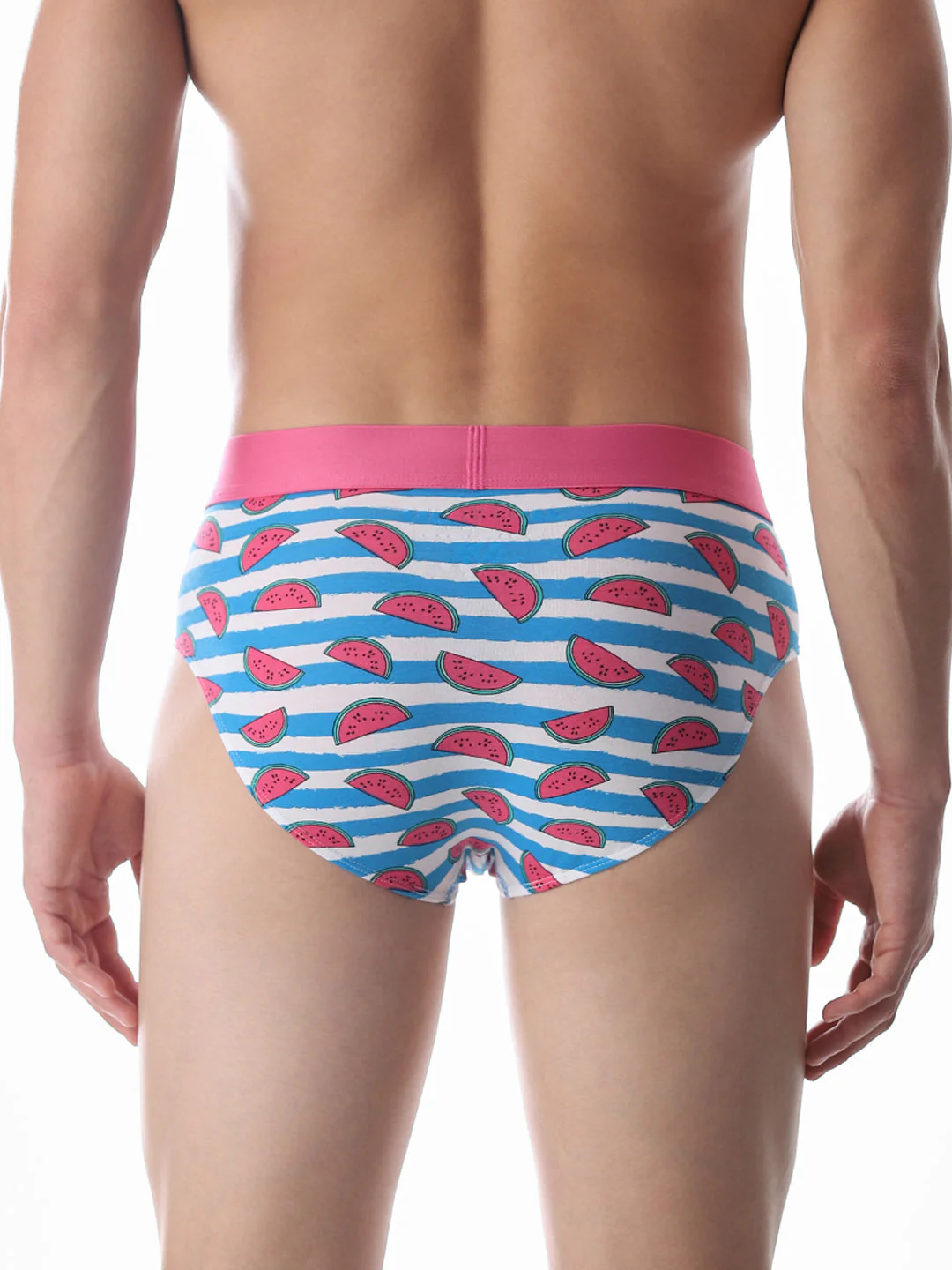 Blue Watermelon Striped Print Briefs - Image 3